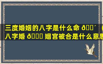 三度婚姻的八字是什么命 🌴 （八字婚 💐 姻宫被合是什么意思）